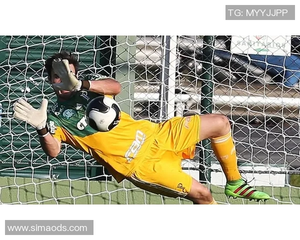 帕尔梅拉斯与庞特普激战正酣谁能在这场对决中笑到最后