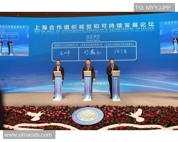 以联盟为核心构建跨领域合作模式推动创新与可持续发展