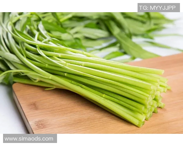 创新食品科技引领未来饮食革命打造绿色健康美食新体验