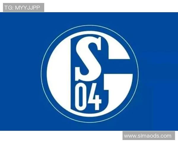 沙尔克04迎战阿里斯全力争胜力争小组出线机会分析