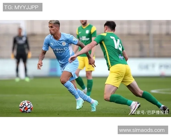西布朗与斯托克城对决分析及胜负推荐建议