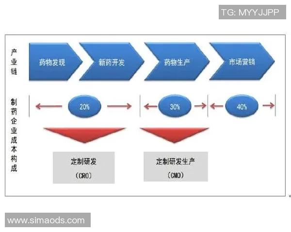 上海网球队团队协作的成功经验与发展策略分析 上海网球队团队协作的成功经验与发展策略分析