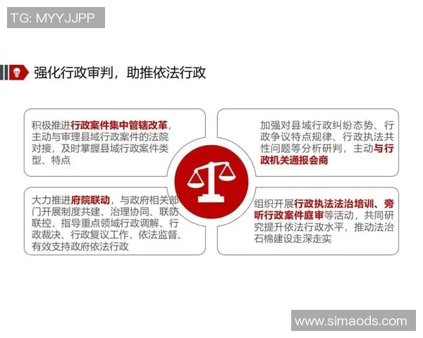 以法治为中心推动社会治理现代化建设的路径与实践探索