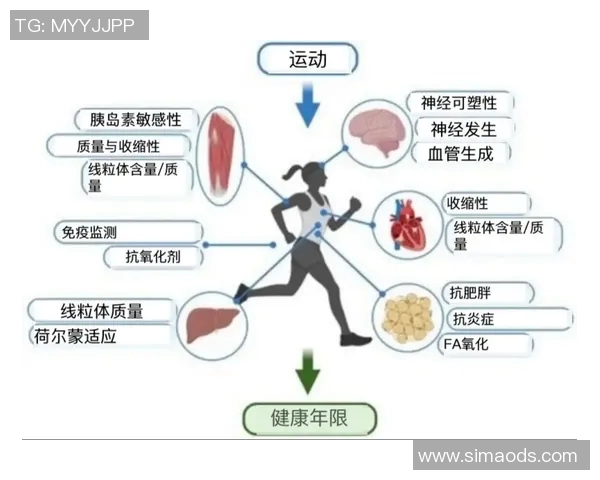全面锻炼提升身体素质，从有氧到力量训练让你实现健康生活目标
