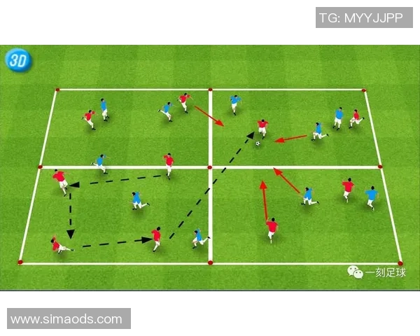 南京足球队的控制策略与发展现状深度分析