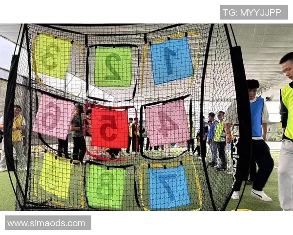 飞盘盛宴：深入了解南京飞盘队的训练与比赛状态